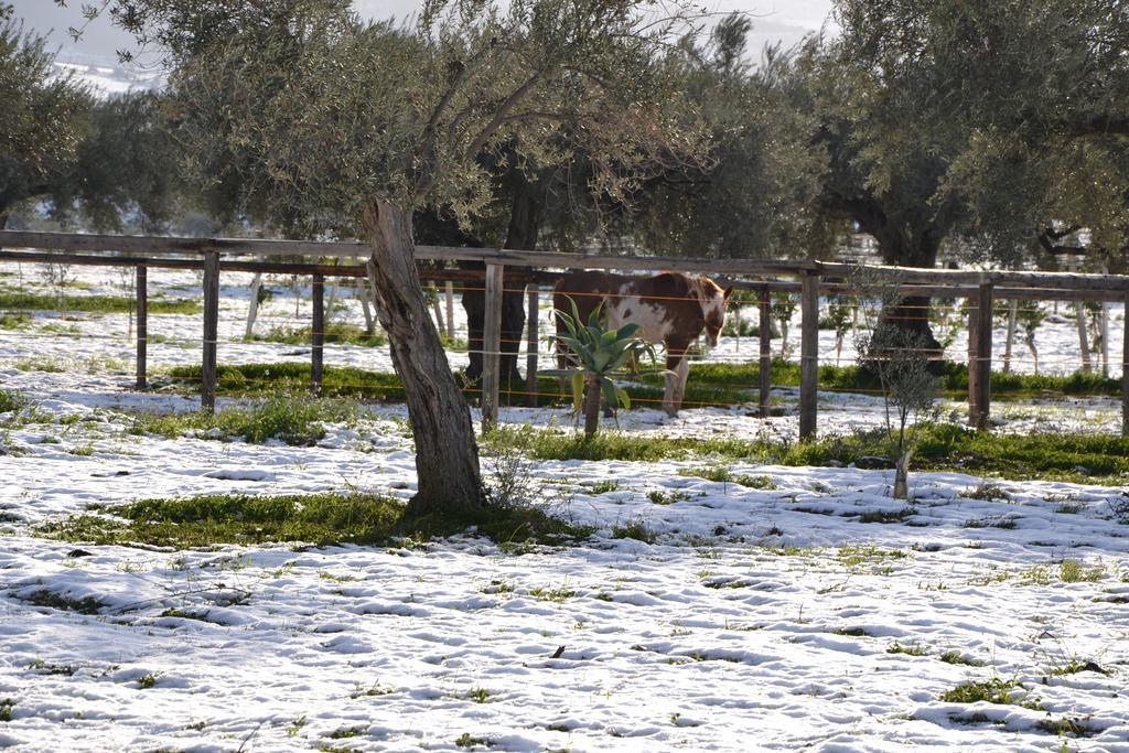 Villa Terre di Senia Chiaramonte Gulfi Esterno foto