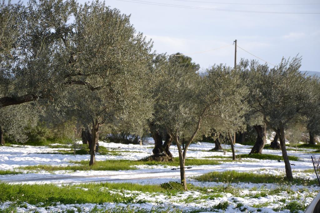 Villa Terre di Senia Chiaramonte Gulfi Esterno foto